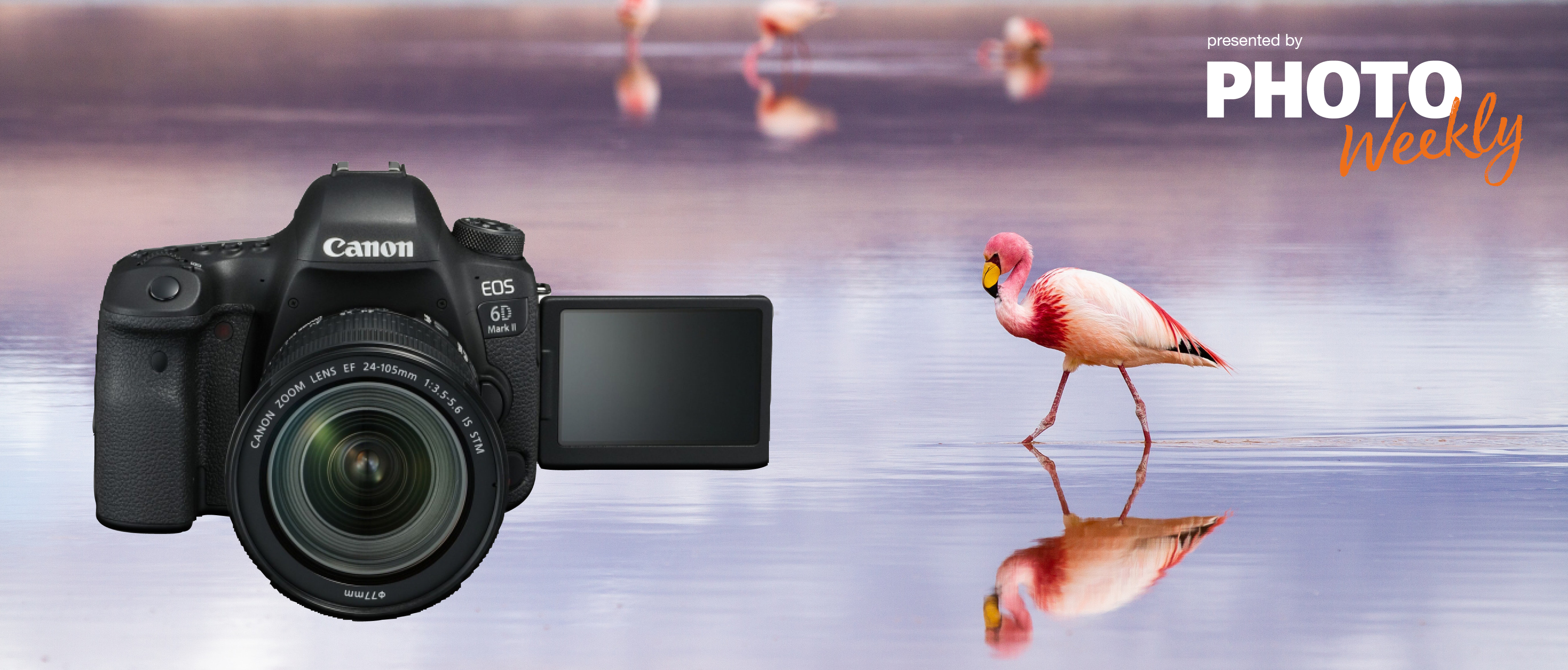 Preview Image: CANON EOS 6D MARK II