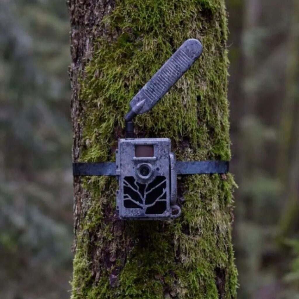 ZEISS Secacam 5 (100° Weitwinkel)