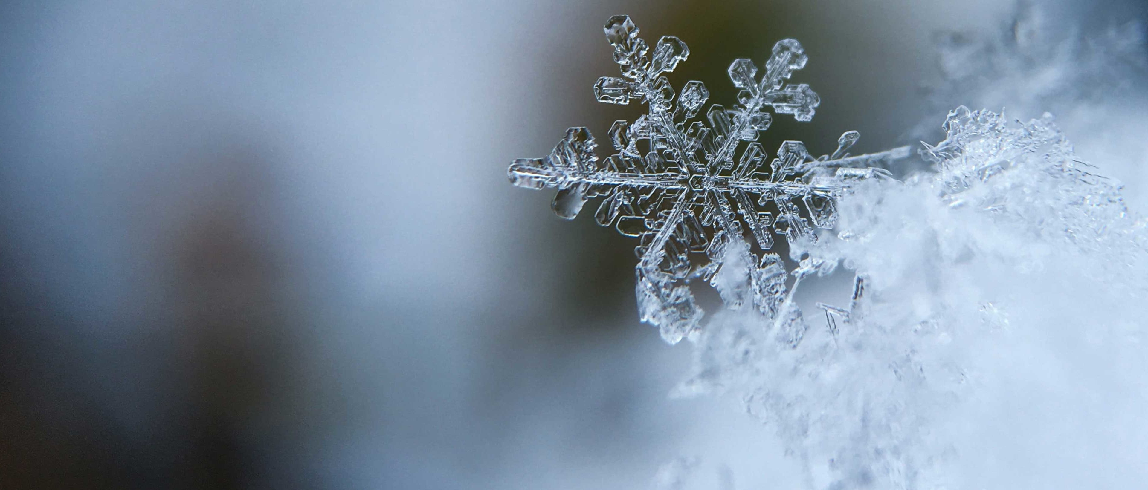 Preview Image: Ideen für frostig-schöne Winterbilder