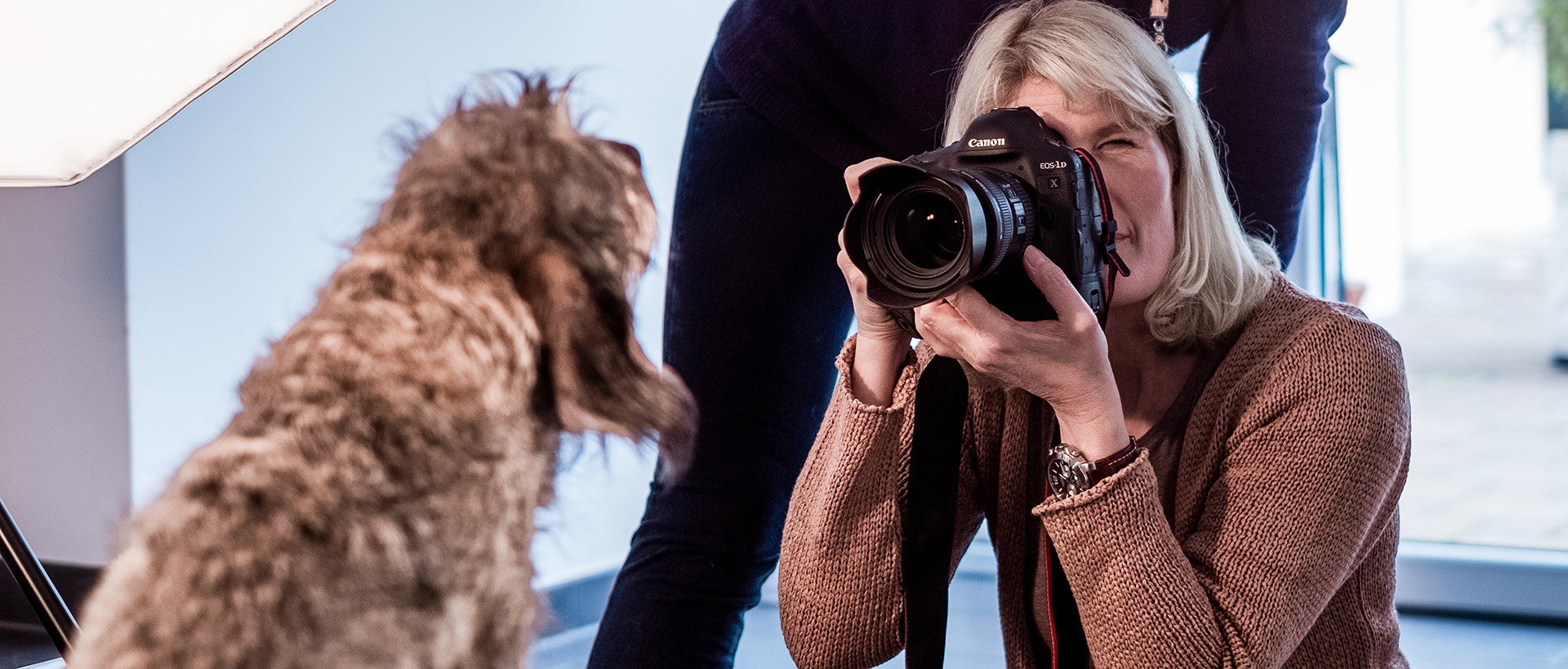 Preview Image: Eindrucksvolle Hundefotos mit Regine Heuser