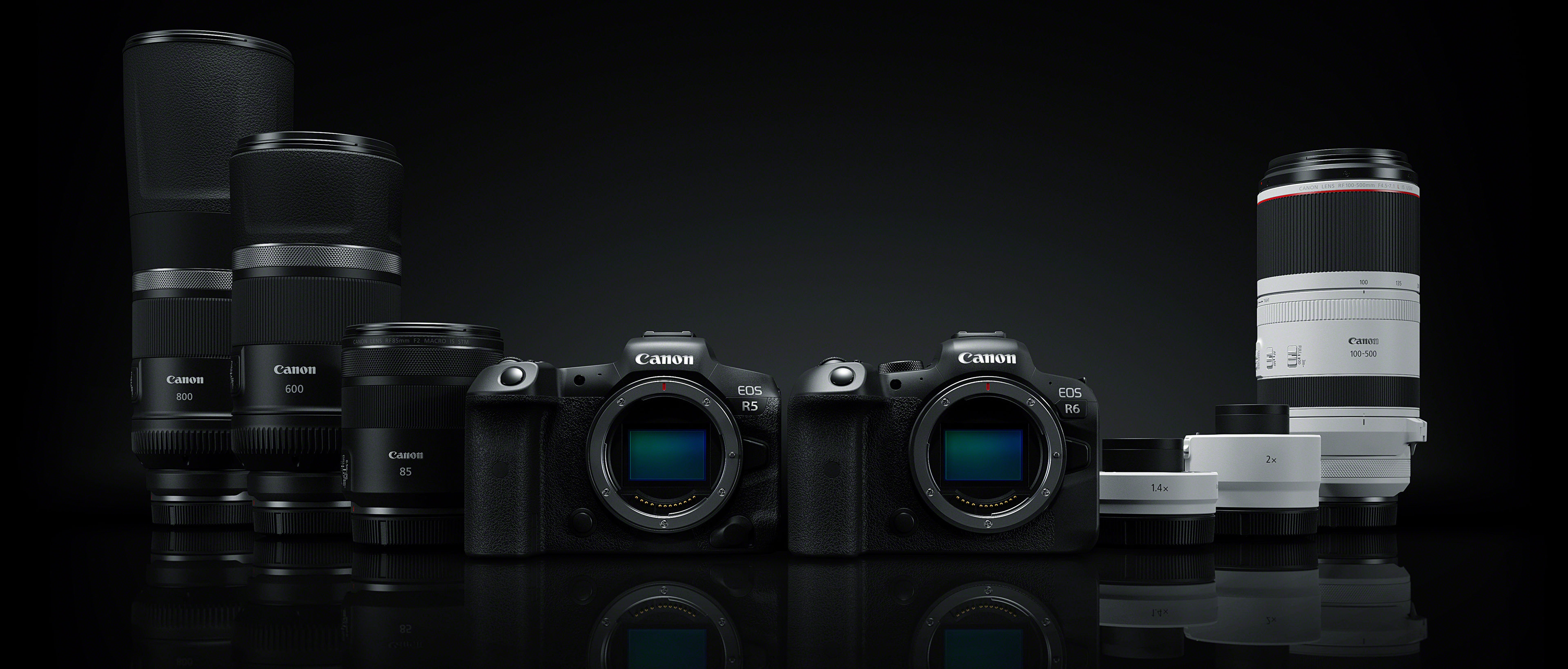 Preview Image: Spiegellos glücklich: Canon EOS R5 und EOS R6