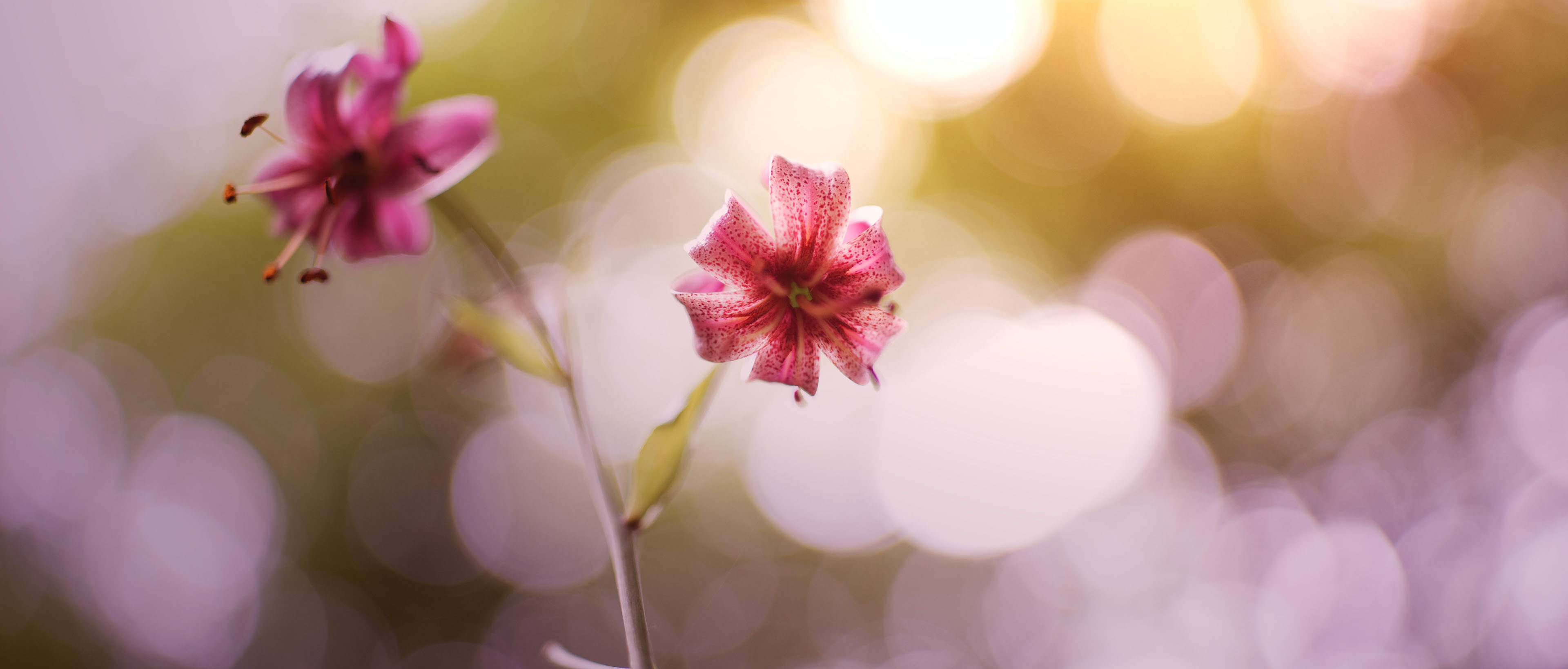 Fototouren, -Spots und Tipps