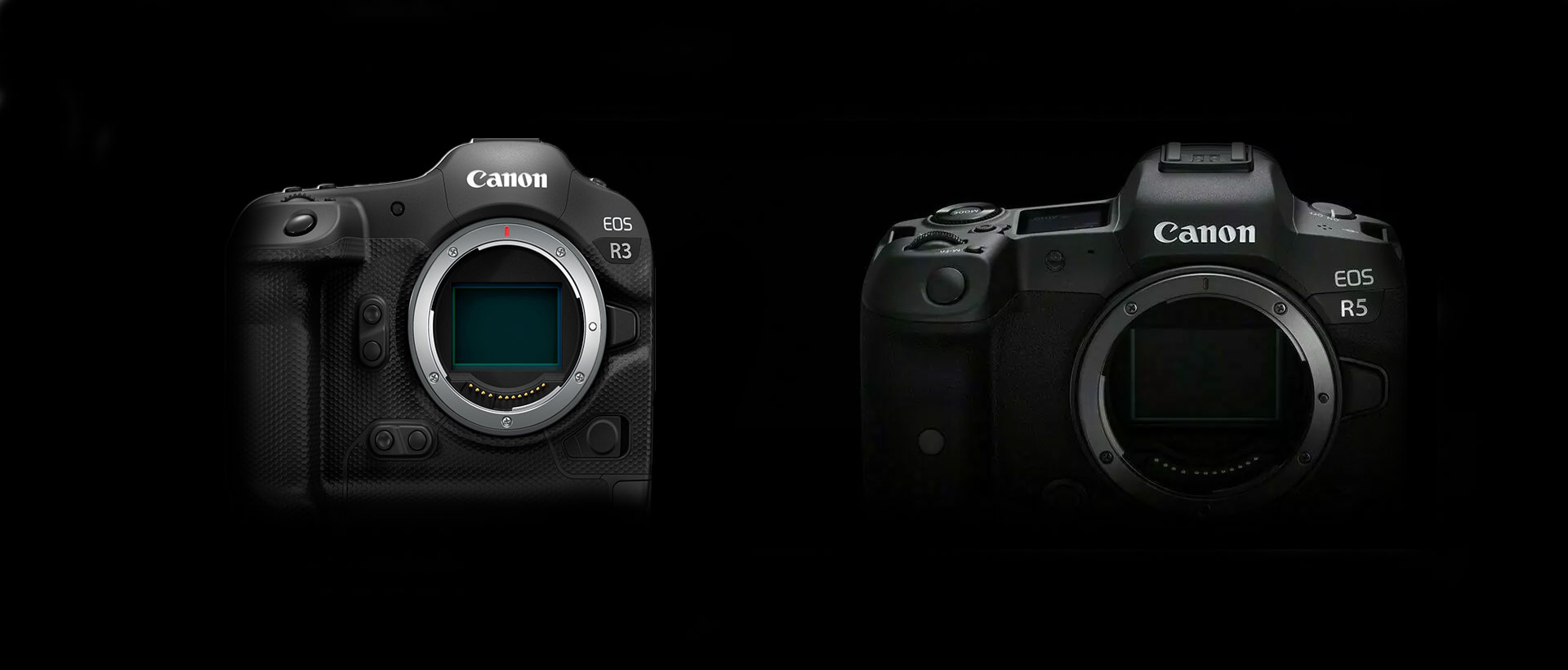 Preview Image: Das neue Firmware-Update von Canon für die EOS R3 / EOS R5