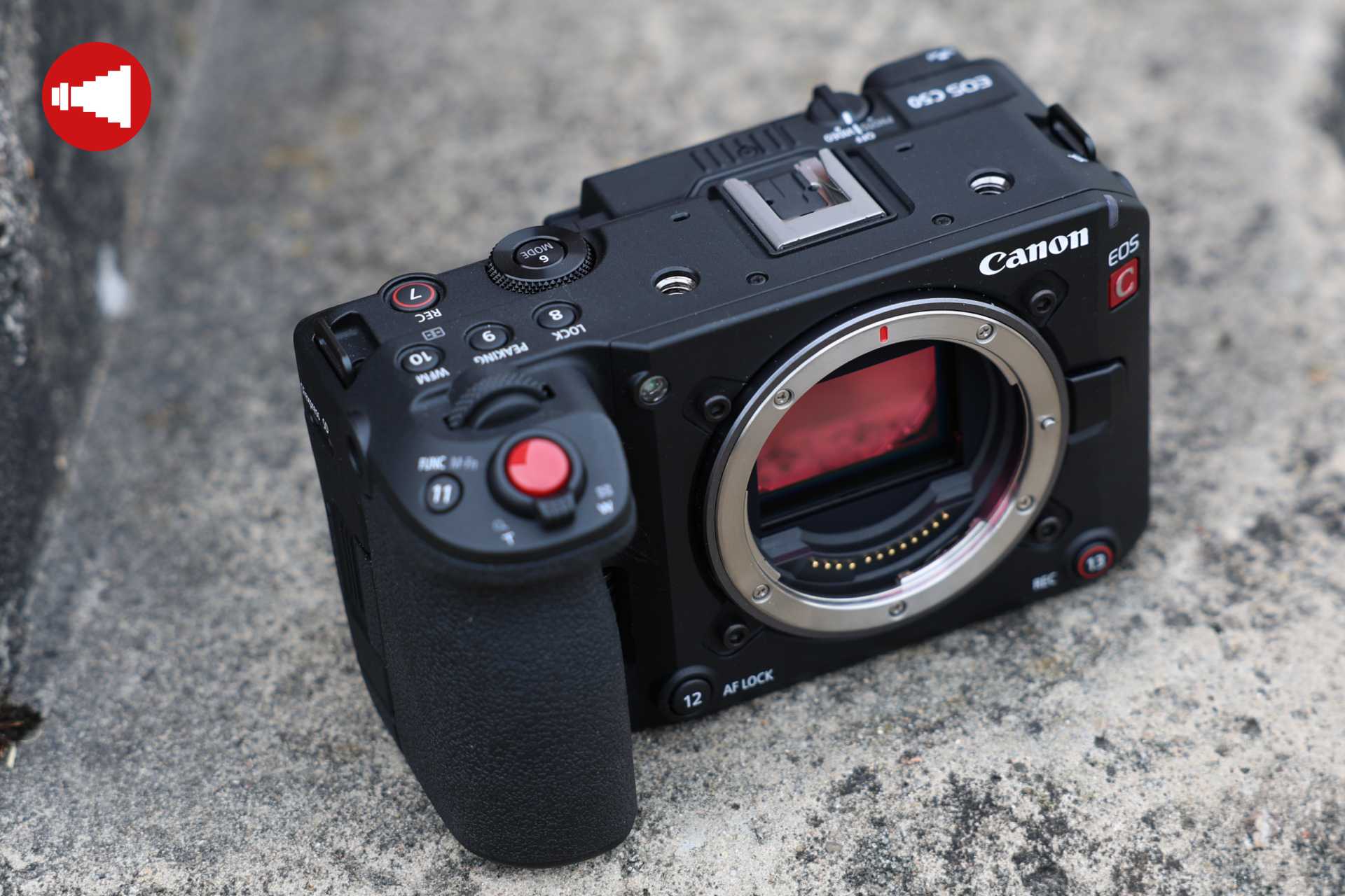 Canon EOS C50 im Test – Ein Traum für Solo-Creator!
