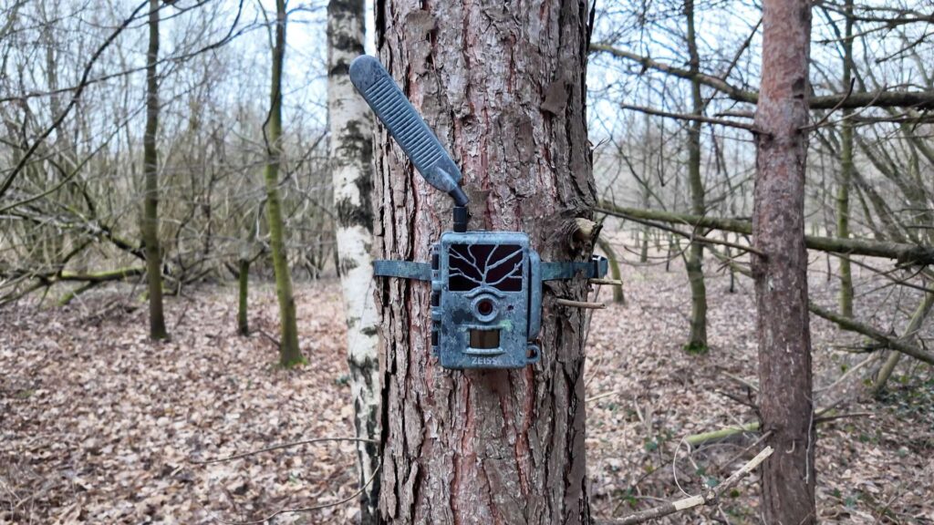 Secacam 1 befestigt am Baum im Wald