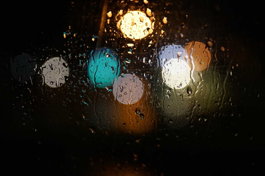 Beispielaufnahme eines Bokes unter Verwendung des Otus ML 35mm Objektivs.