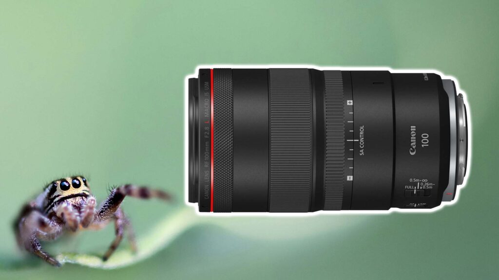 Canon RF 100mm F2.8 L Macro IS USM Objektiv.