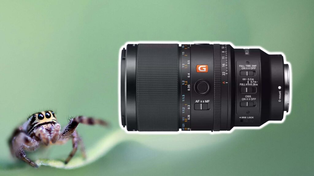 Sony FE 100mm F2.8 Macro GM OSS Objektiv.